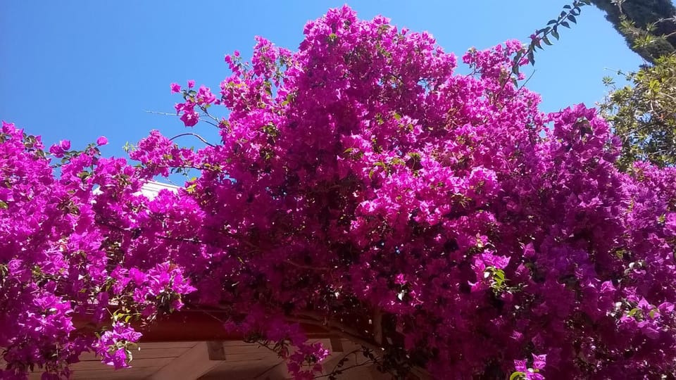 B&B Vacanza Facile Bed and Breakfast in Costa Rei