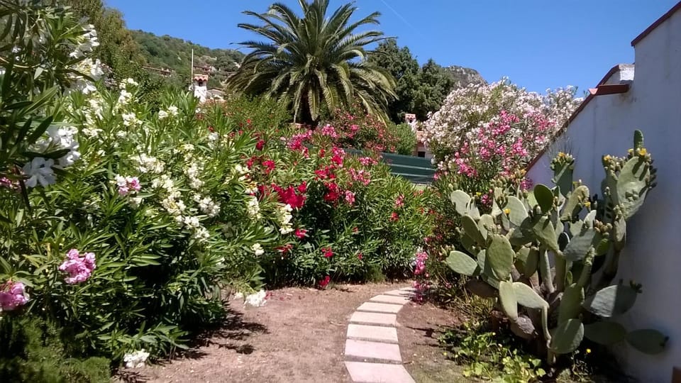 B&B Vacanza Facile Bed and Breakfast in Costa Rei