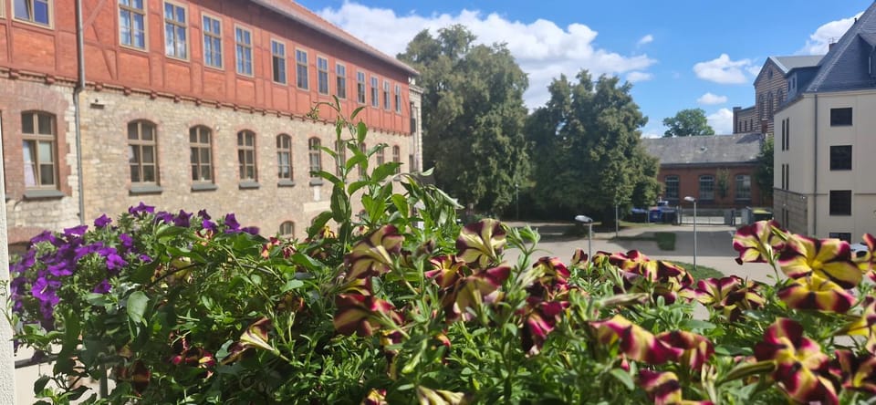 Inner courtyard view