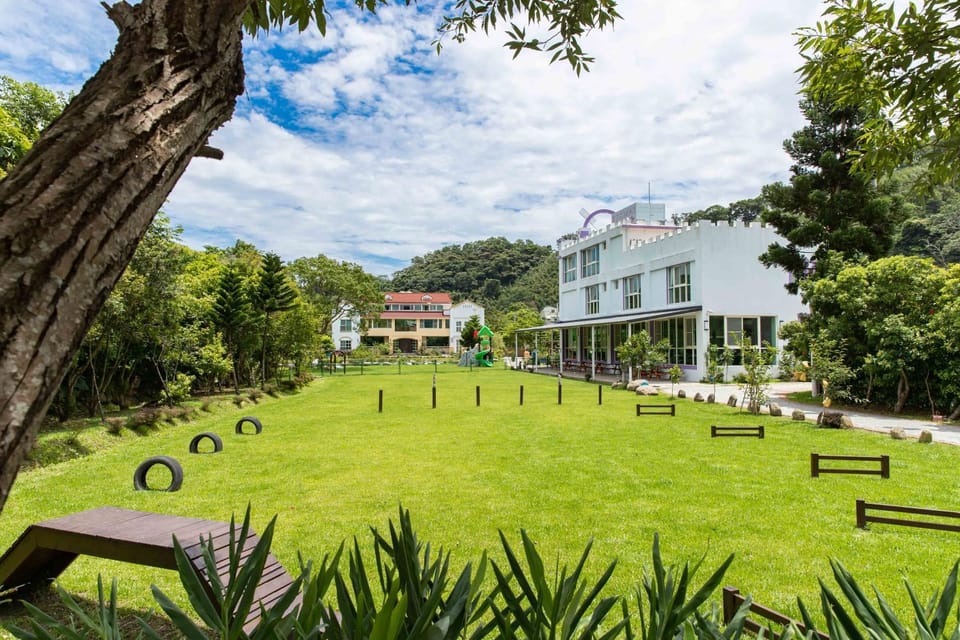 Garden, Pets, Garden view