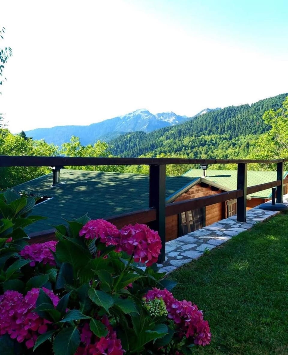 Natural landscape, Garden, Garden view, Mountain view