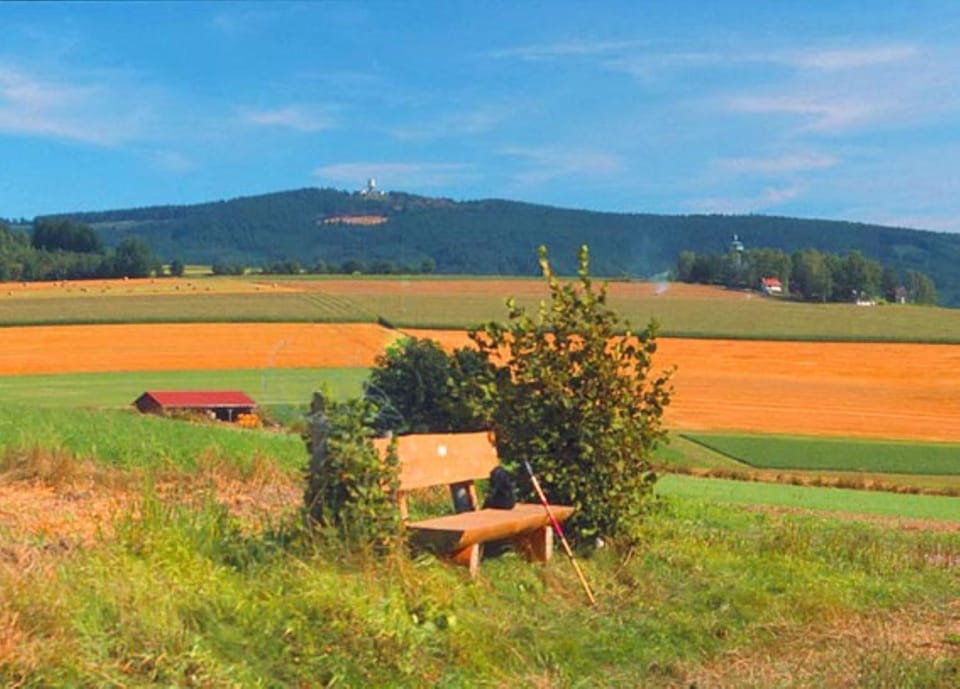 Natural landscape