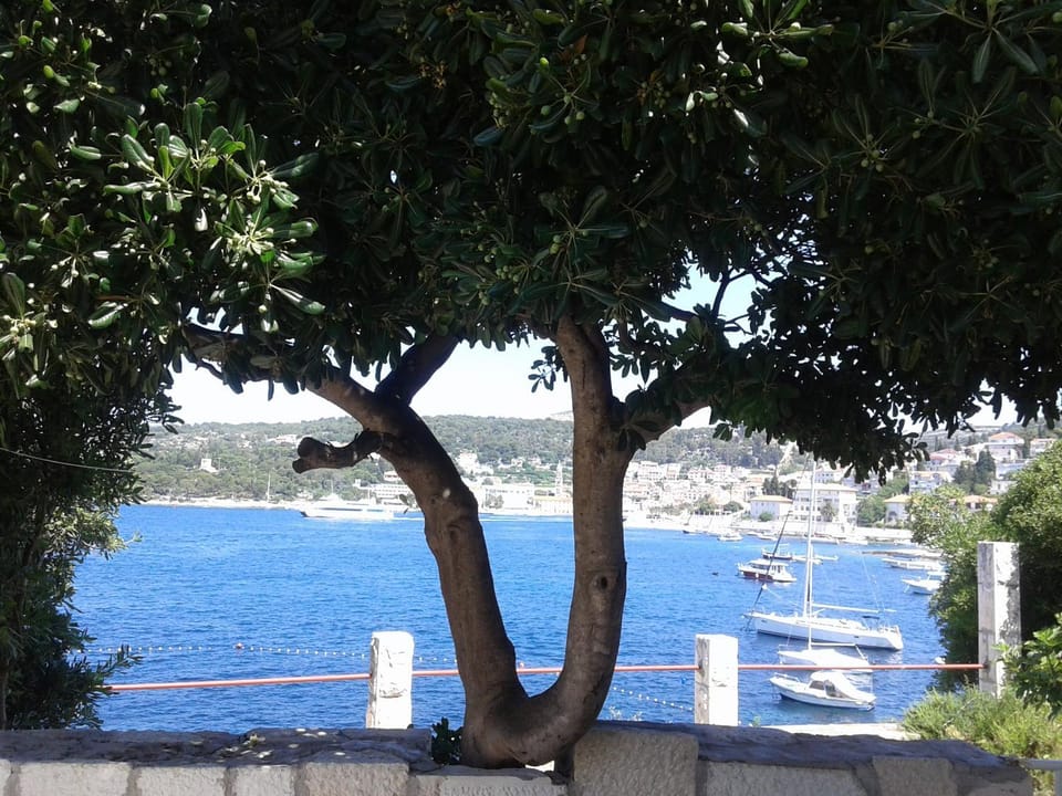 Balcony/Terrace, City view, Sea view