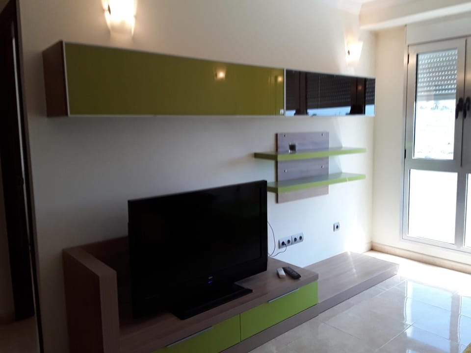 TV and multimedia