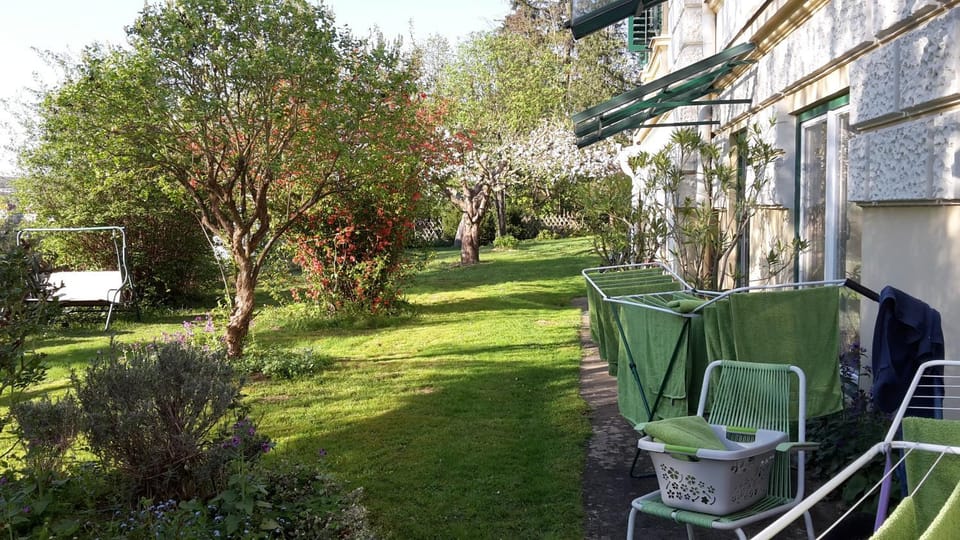 Property building, Garden, Garden view