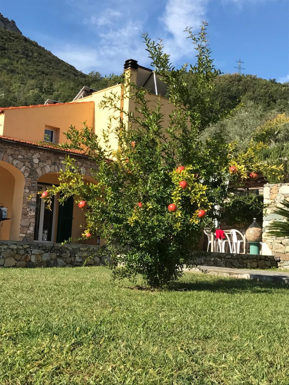 Garden view