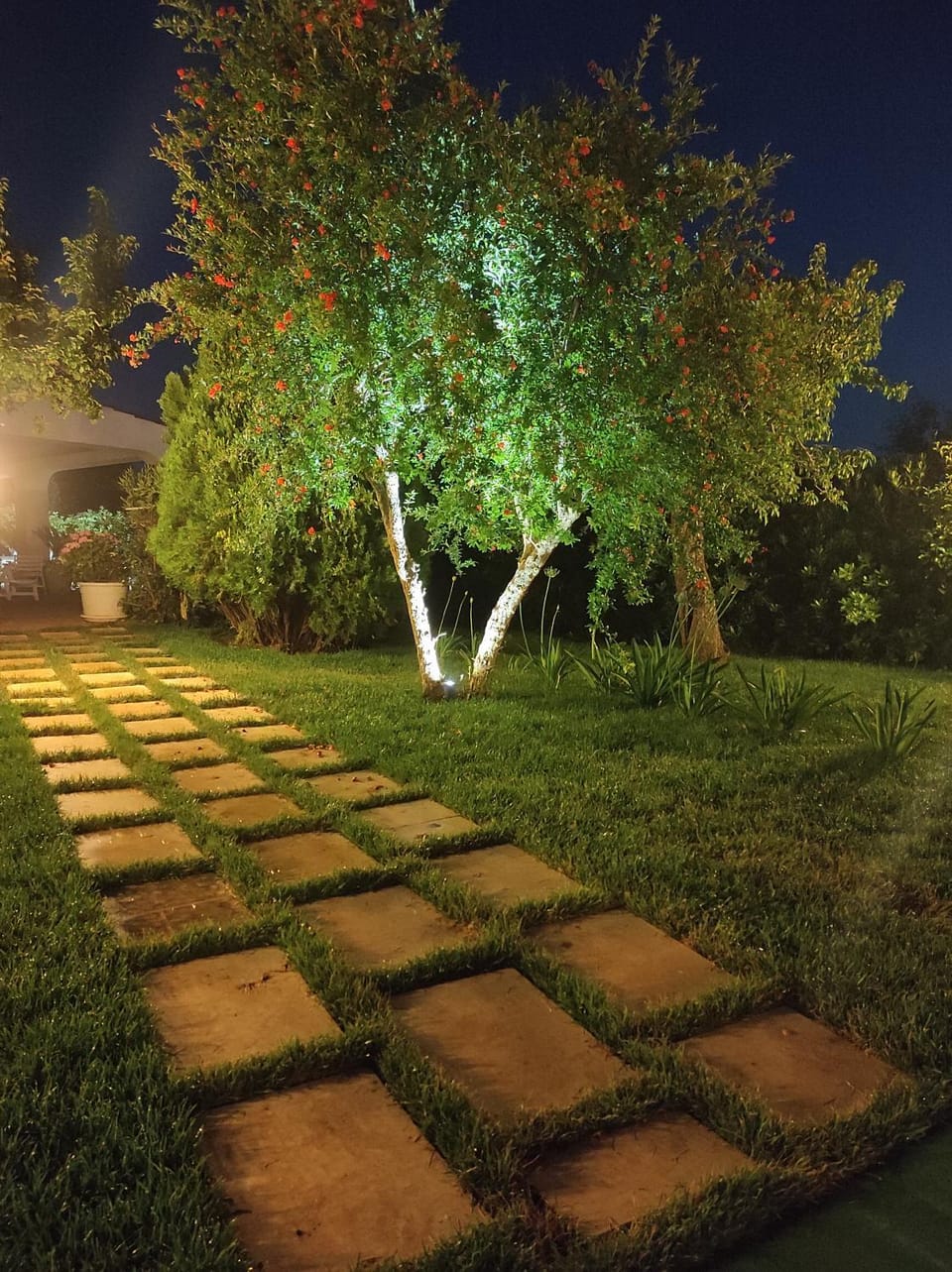Il Trullo del Lazzeruolo House in Apulia