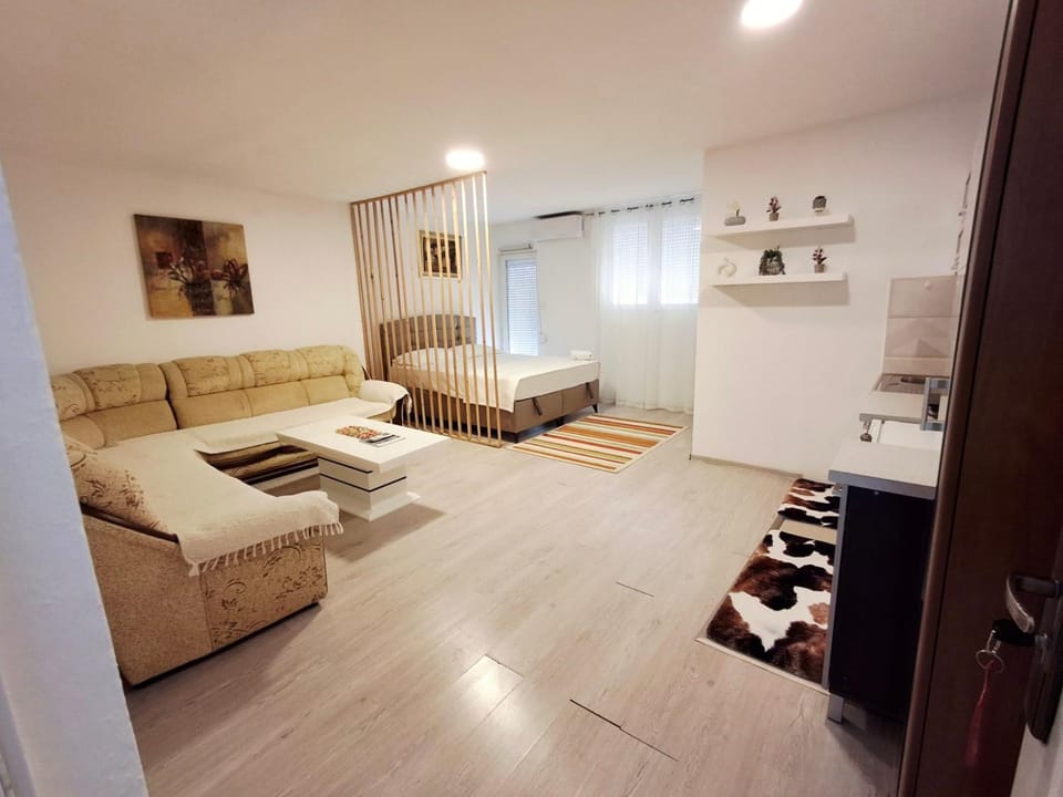 Living room, Photo of the whole room, Seating area, air conditioner