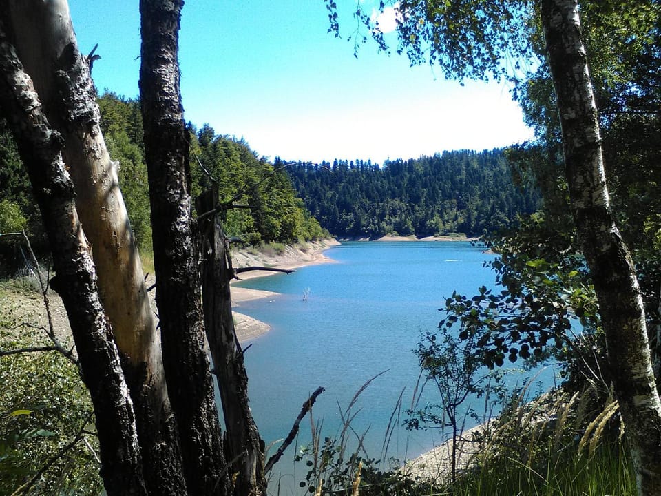 Day, Summer, Fishing, Canoeing, Hiking, Cycling