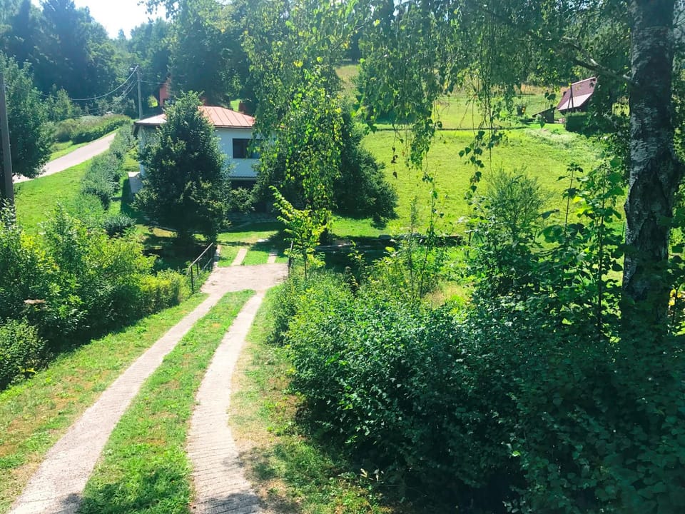 Day, Summer, Garden, Area and facilities