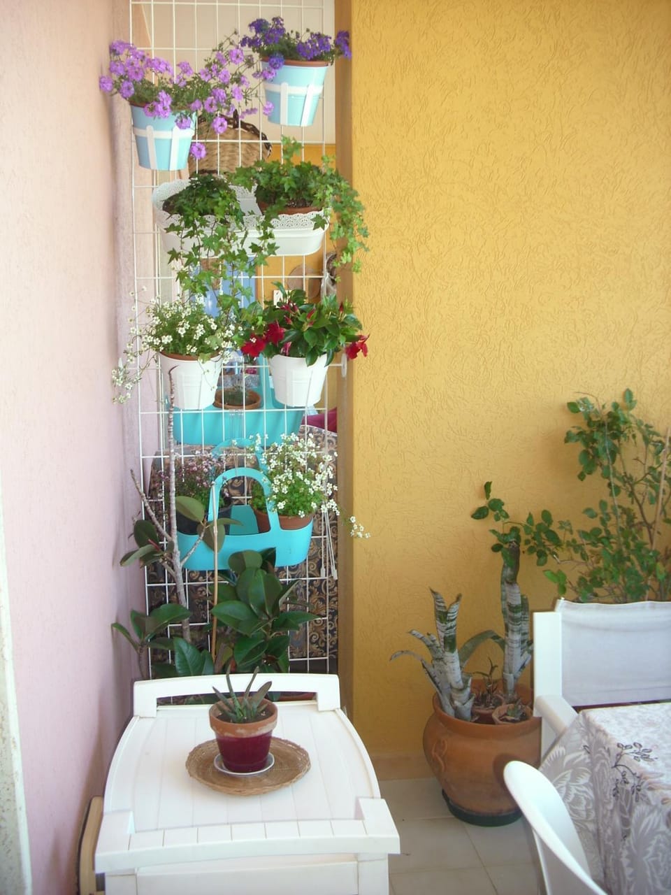 Balcony/Terrace, Dining area