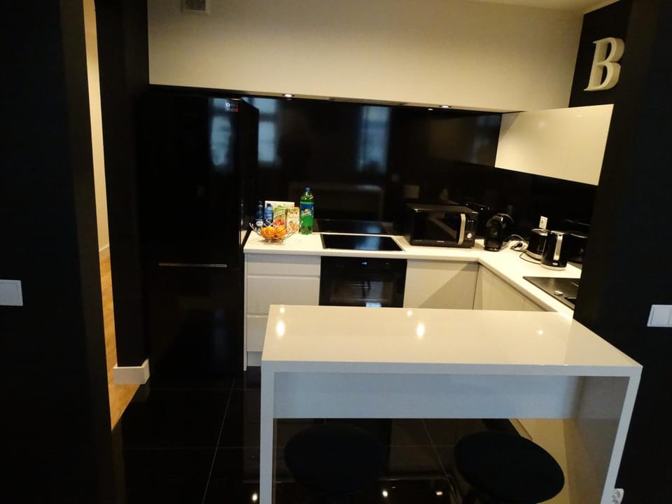 Black&White Apartment- Wierzbowa 5 Apartment in Poznan