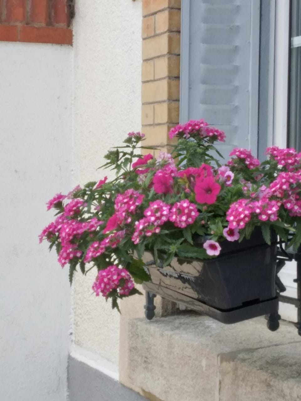 Chambres dhôtes Logette Bed and Breakfast in Grand Est
