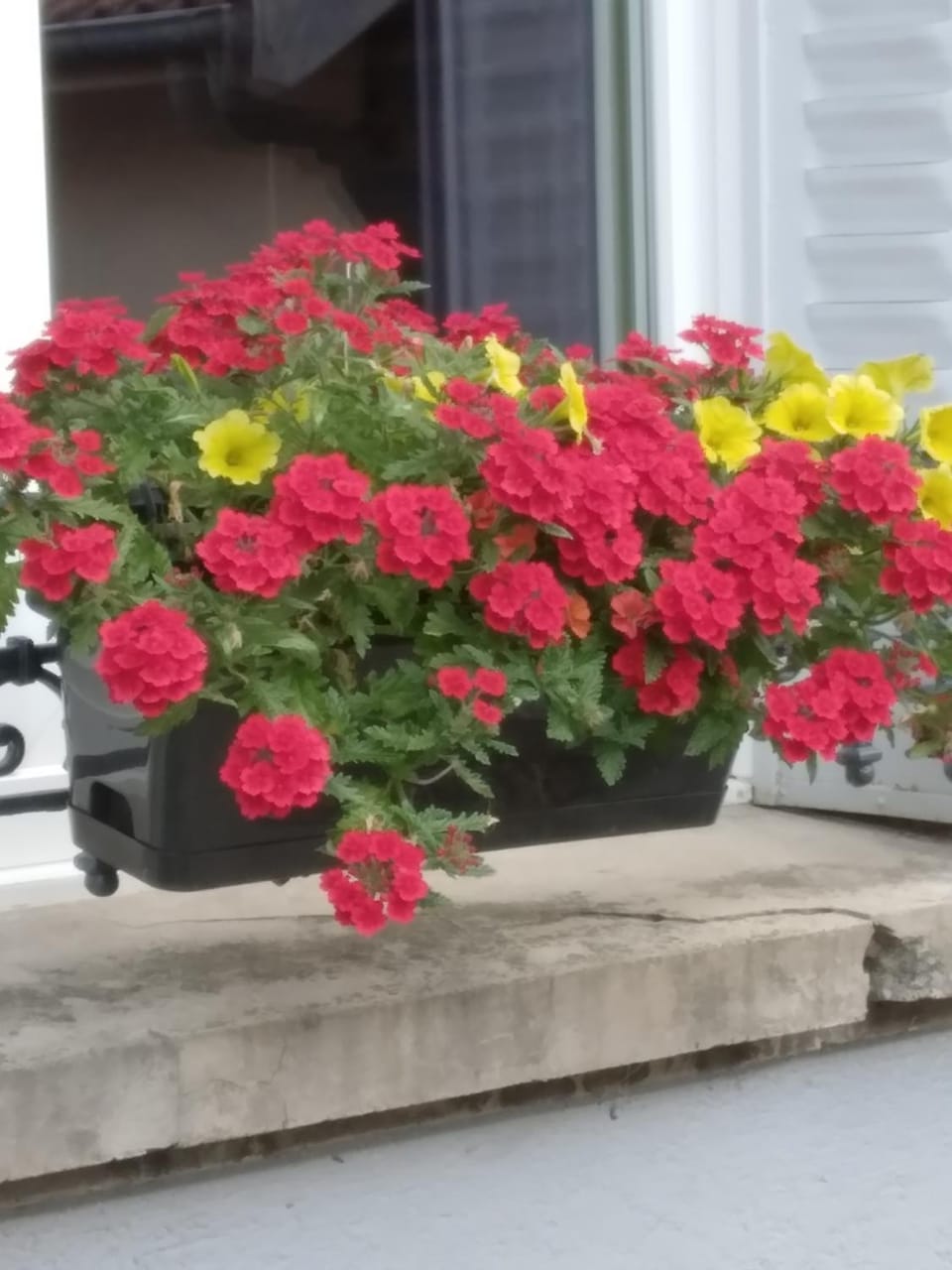 Chambres dhôtes Logette Bed and Breakfast in Grand Est