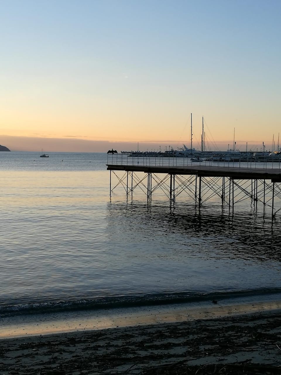 Beach, Sunrise