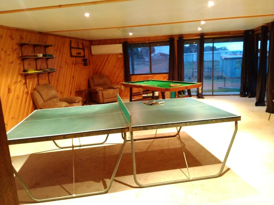 Billiard, Game Room, Table tennis