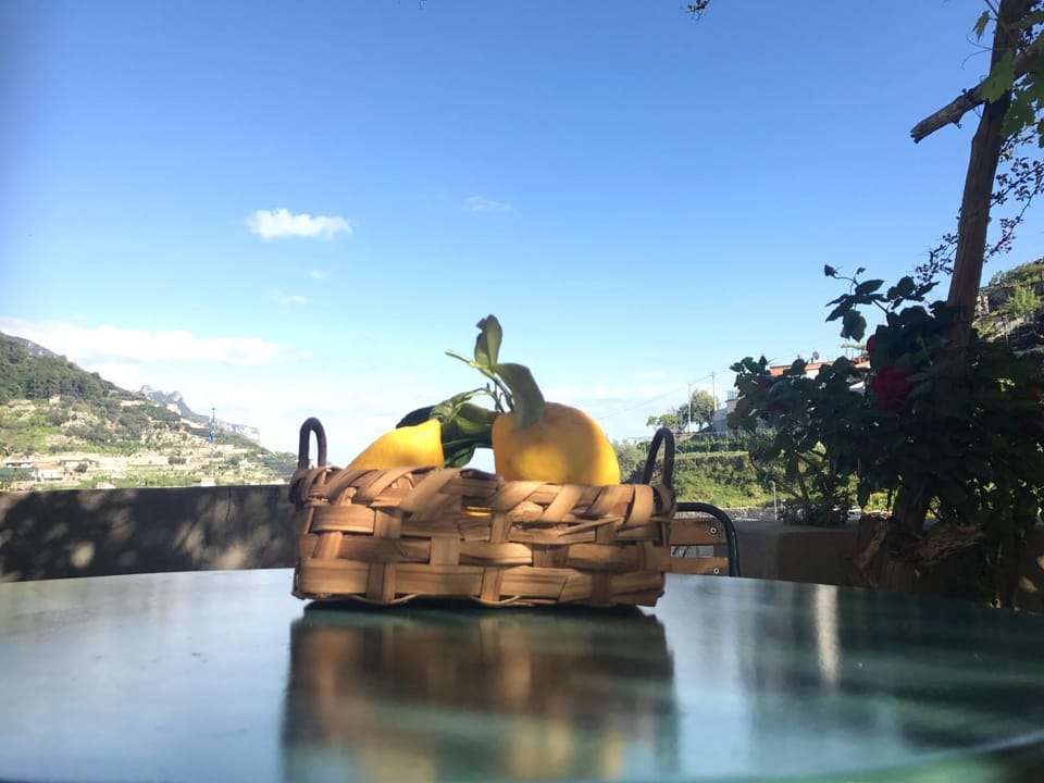 View (from property/room)