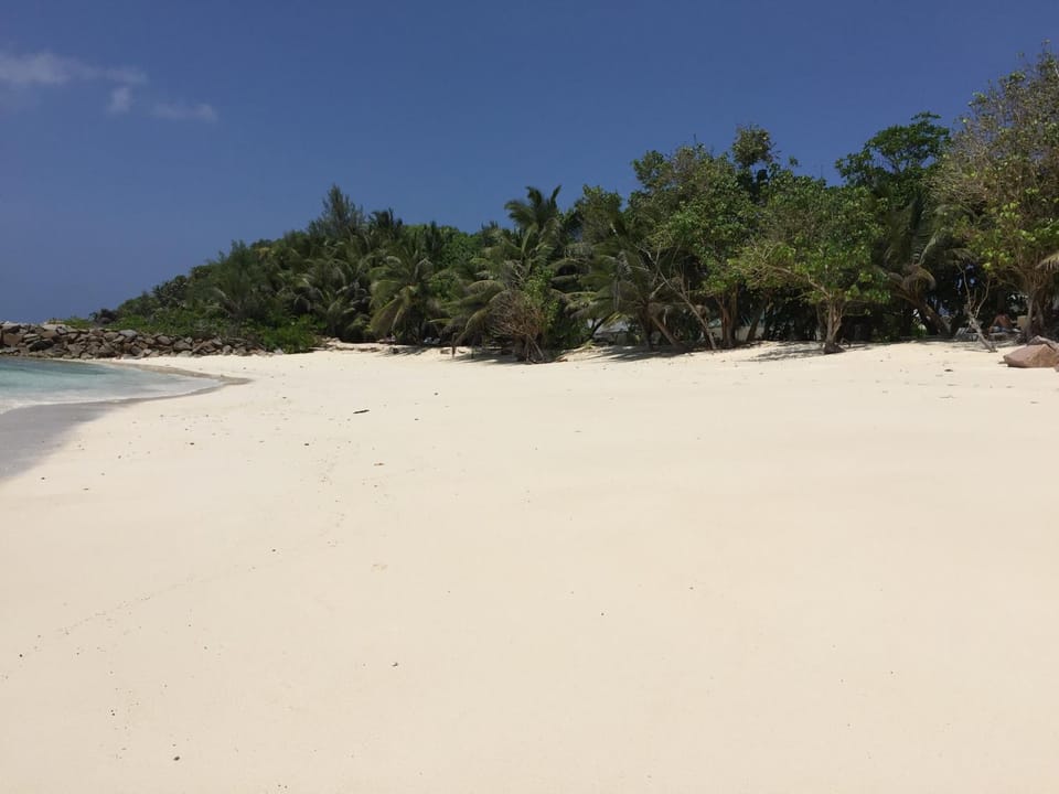 Beach, Beach