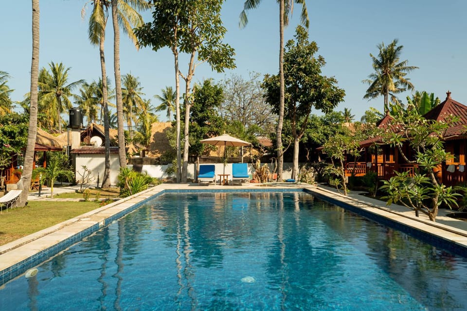 Property building, Day, Natural landscape, Garden, Garden view, Pool view, Swimming pool, sunbed