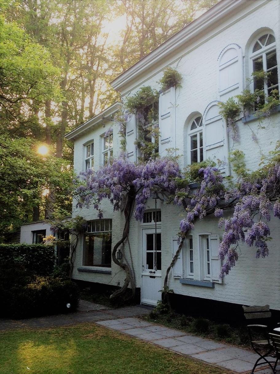 B&B 't Wit Huys Brugge Bed and Breakfast in Bruges