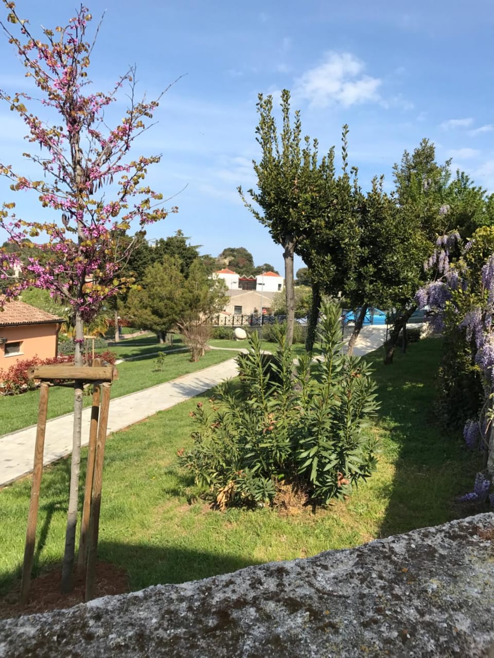 Neighbourhood, Natural landscape