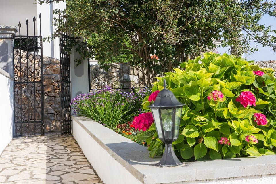 Garden view