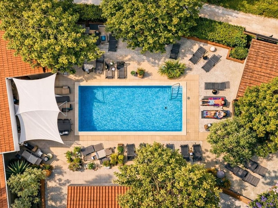 Pool view, Swimming pool