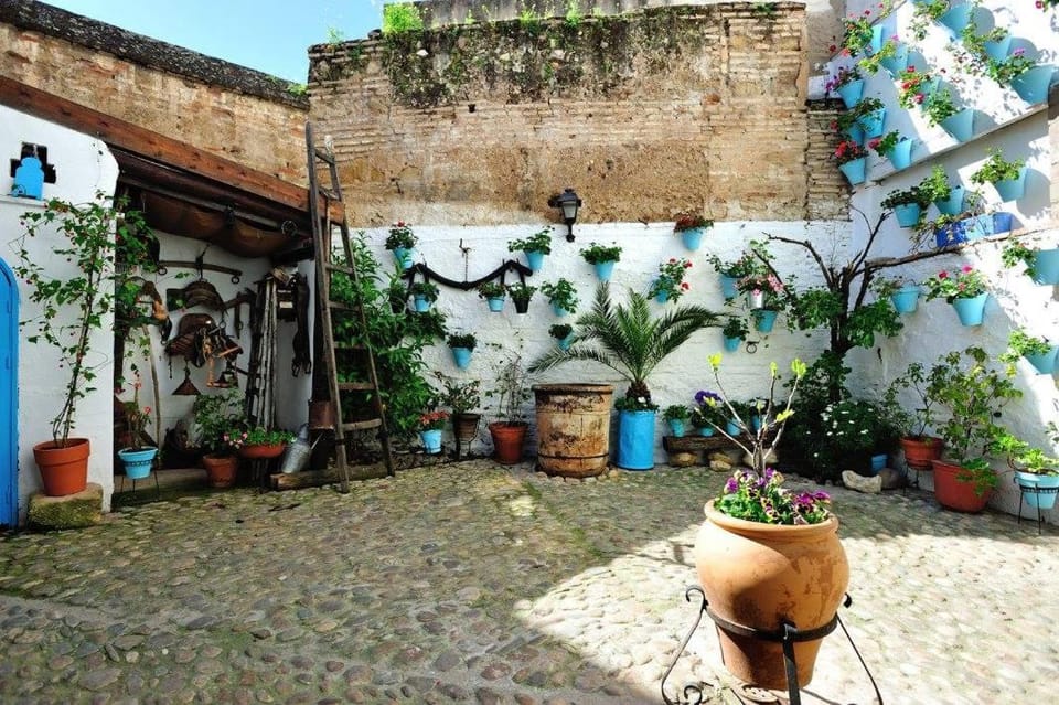 Facade/entrance, Garden, Decorative detail