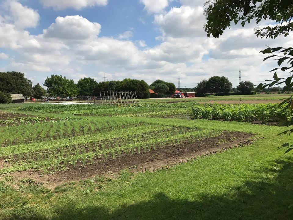 Neighbourhood, Natural landscape