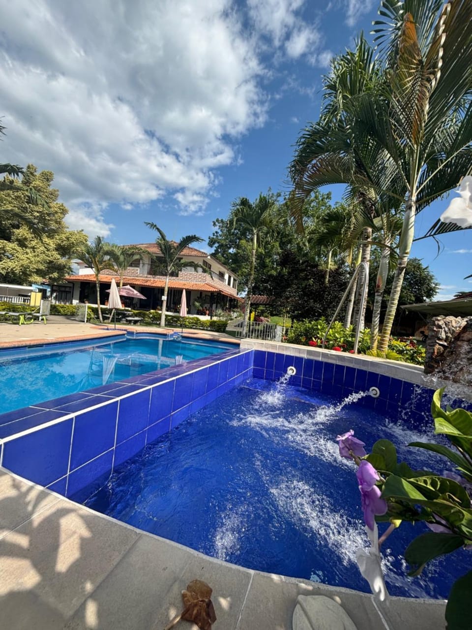 Natural landscape, Pool view, Swimming pool