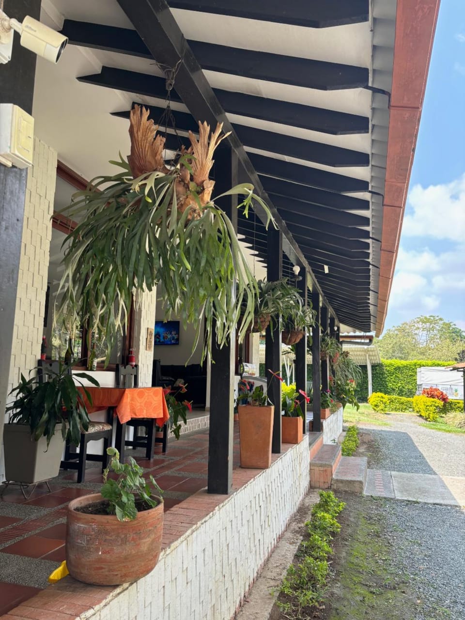 Garden, Garden view