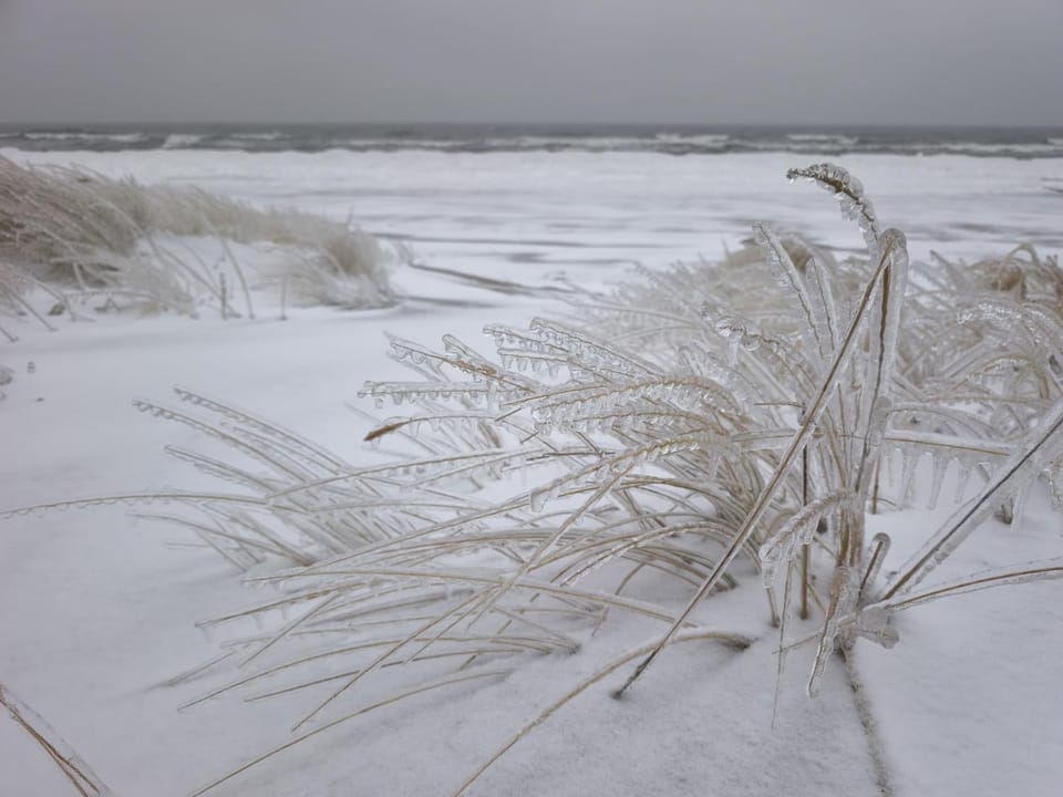 Natural landscape, Winter