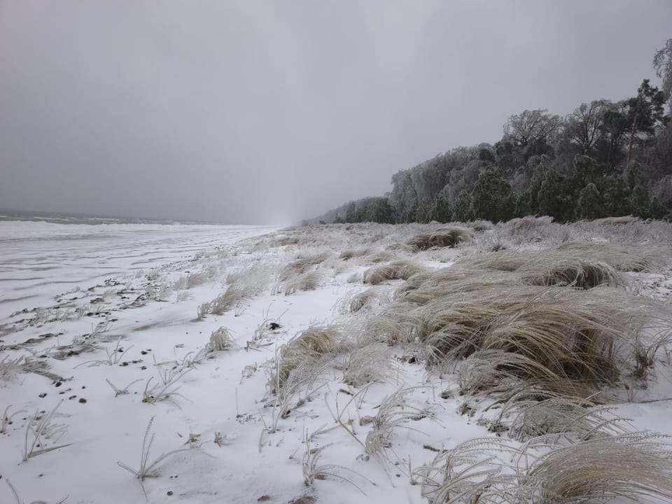 Natural landscape, Winter