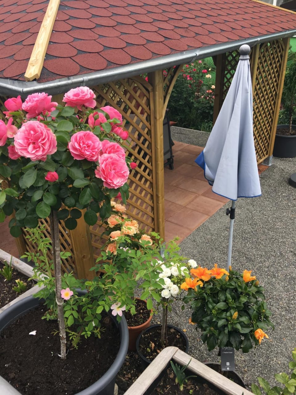 Garden, Balcony/Terrace, Area and facilities