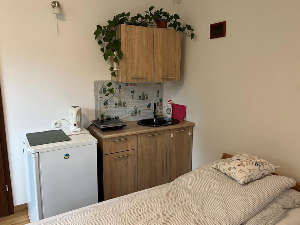 Bed, Kitchen or kitchenette, Photo of the whole room, Bedroom, stove