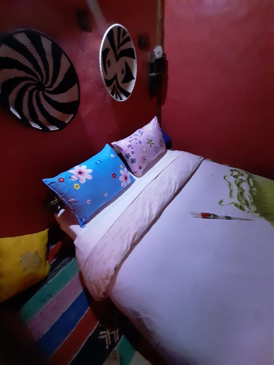 Bed, Photo of the whole room, Bedroom, fireplace
