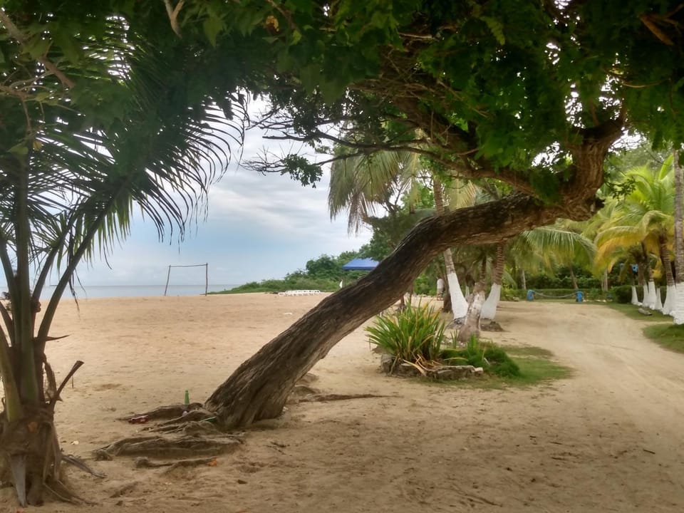 Sea view