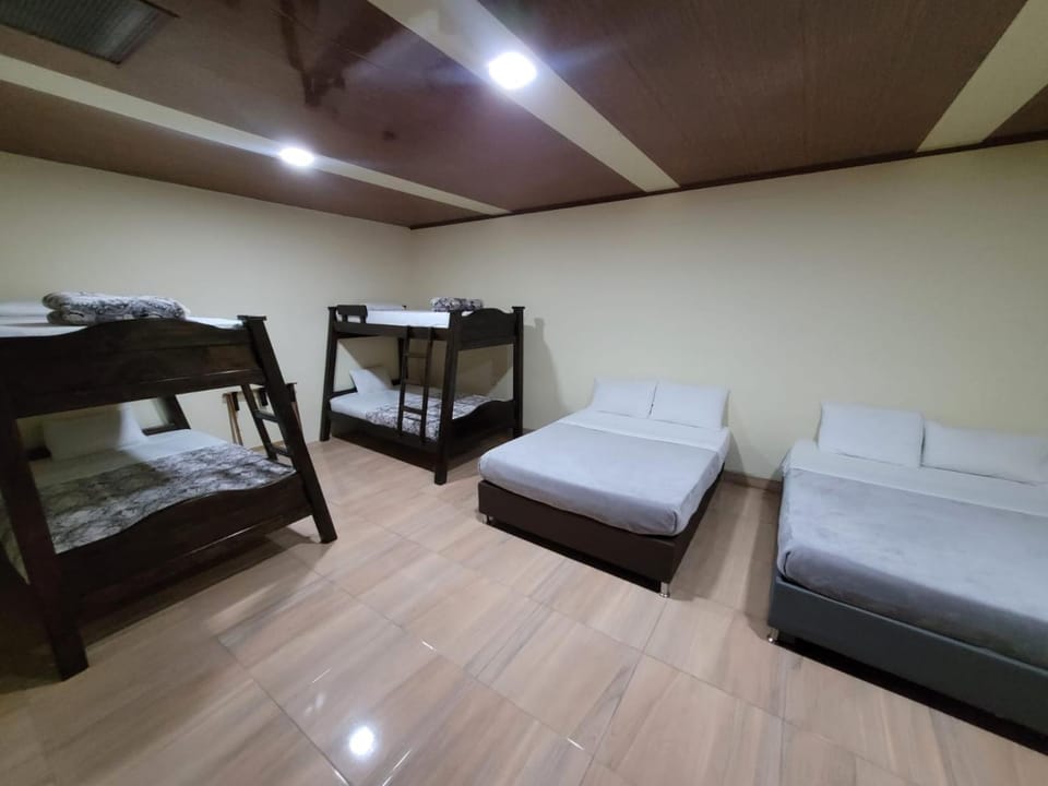 Bed, Photo of the whole room, bunk bed