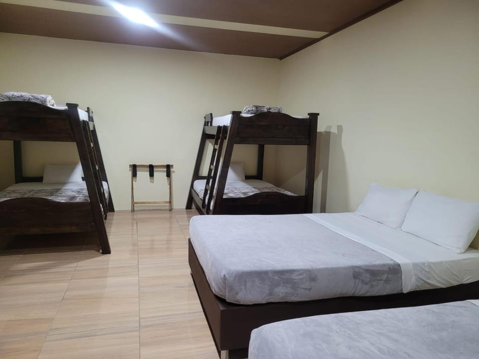 Bed, Photo of the whole room, bunk bed