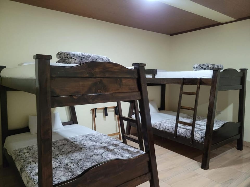 Bed, Photo of the whole room, bunk bed