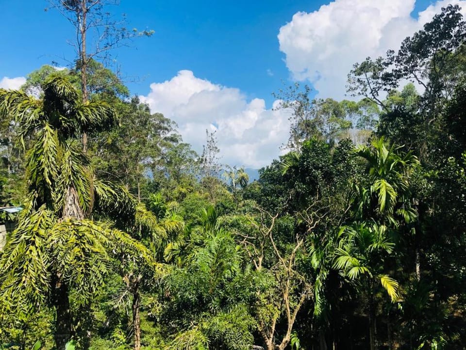Natural landscape, Mountain view