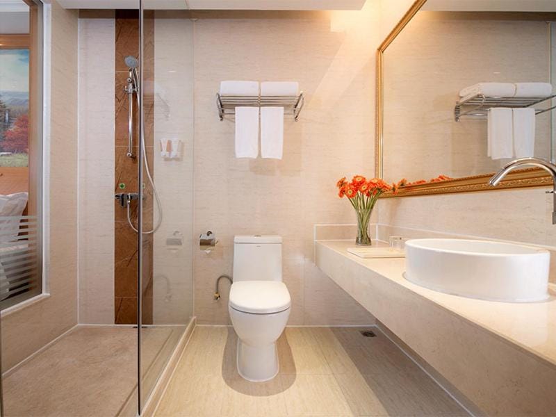 Vienna Hotel Shenzhen Lo Wu Control Point Hotel in Hong Kong