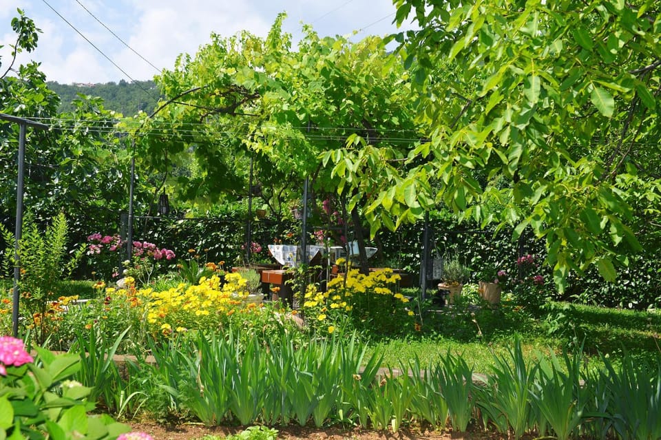 Natural landscape, Garden, Garden view