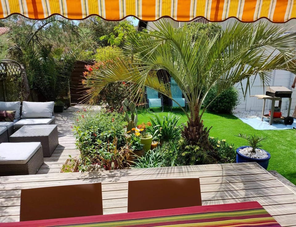 Patio, Spring, Day, Garden view