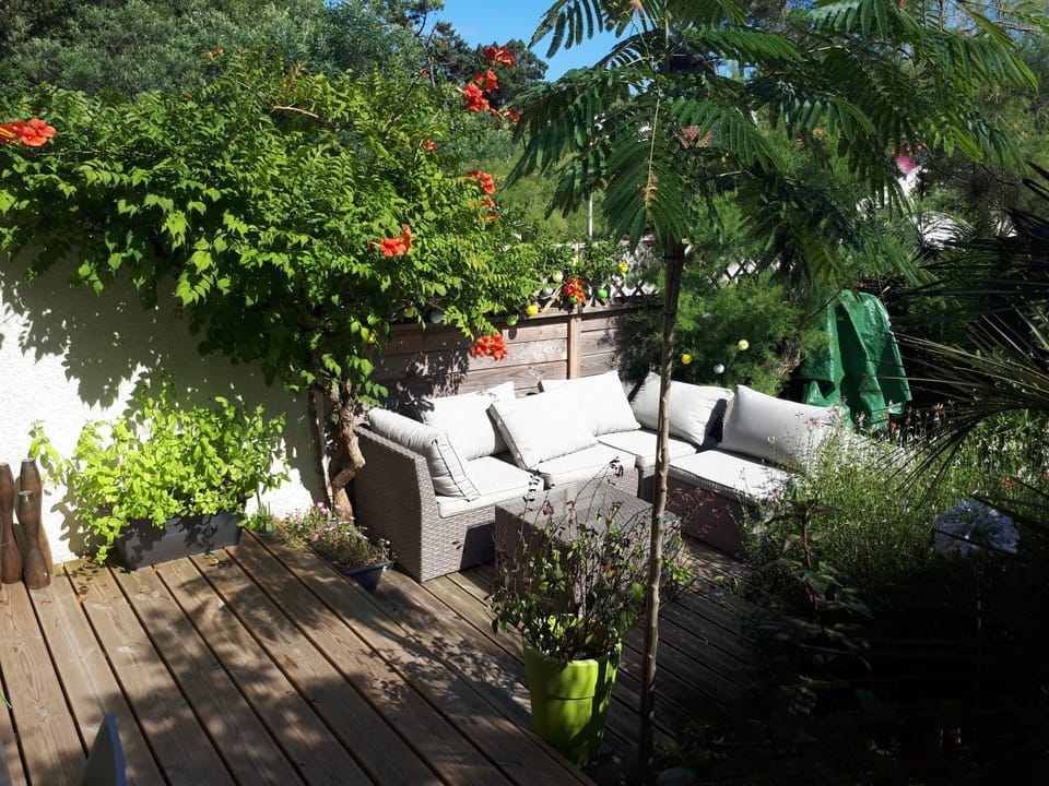 Patio, Garden, Garden view