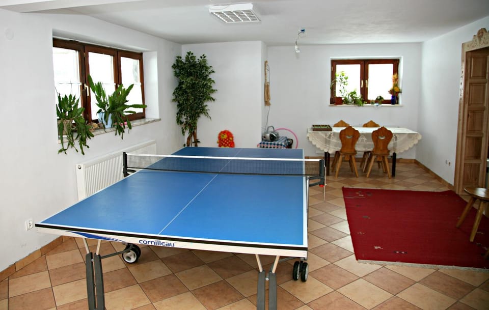 Game Room, Table tennis, Evening entertainment