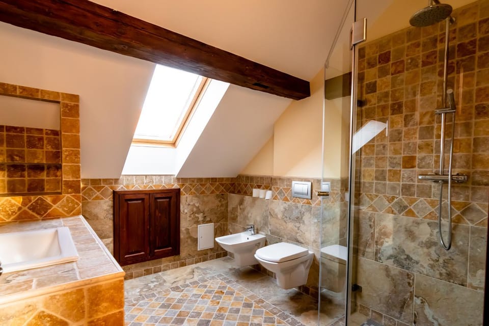 Shower, Toilet, Bathroom, bidet