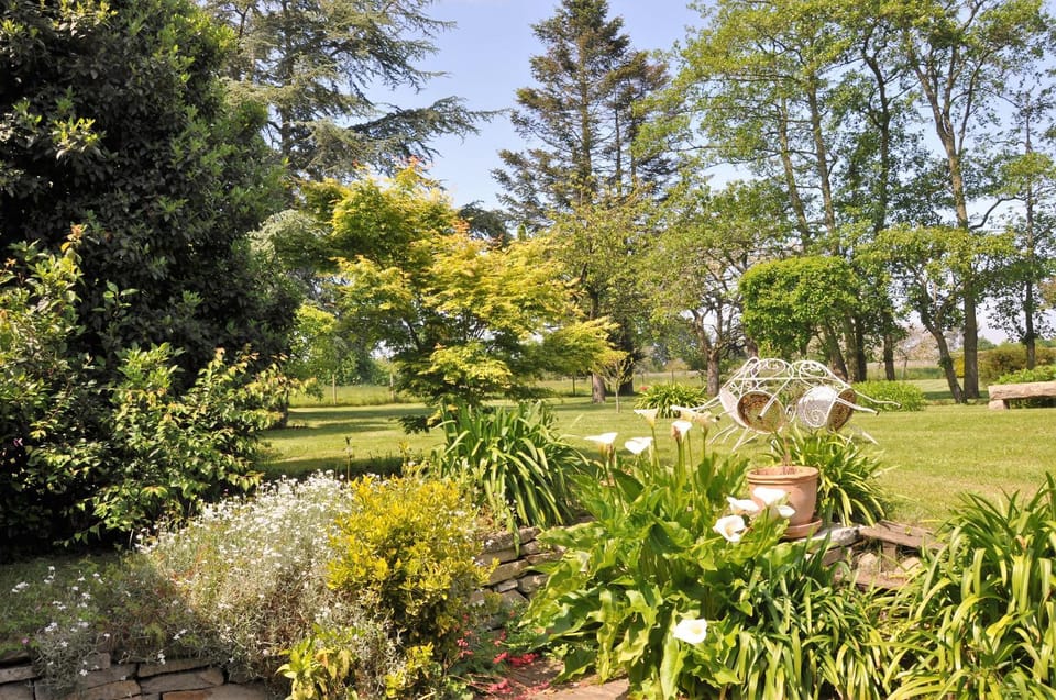 Garden view