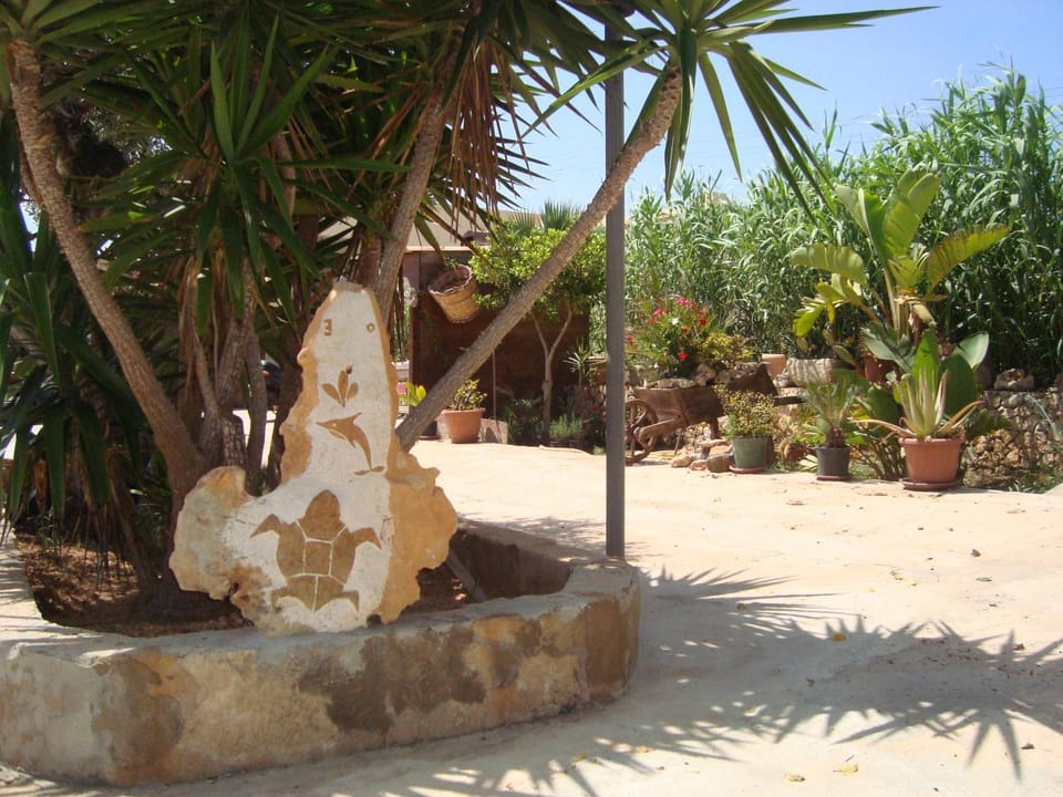 Garden view