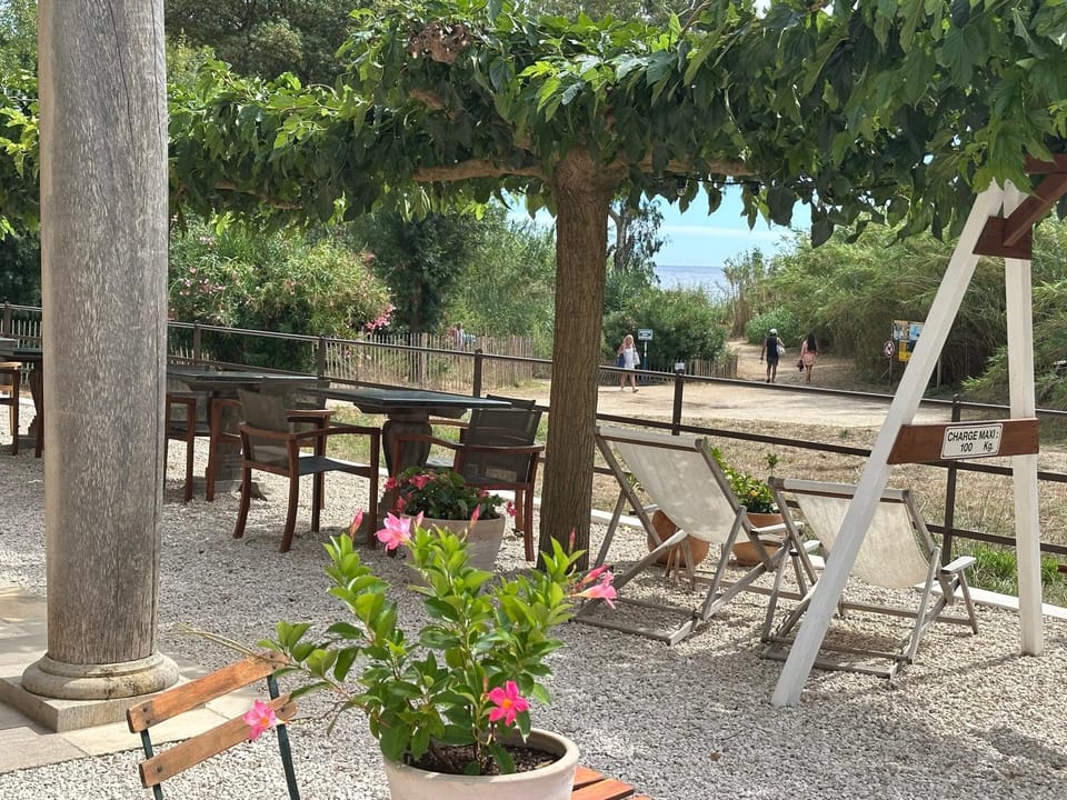 Patio, Garden, Dining area, Garden view